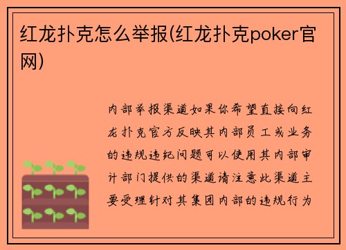 红龙扑克怎么举报(红龙扑克poker官网)
